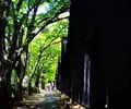 山居倉庫の写真_144943