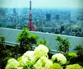 アンダーズ 東京の写真_165629