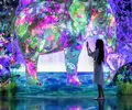 teamLab Forest / チームラボフォレスト – SBI証券の写真_819735
