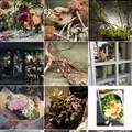 odette 代官山店の写真_107900