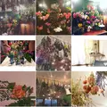 farverの写真_107933
