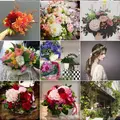 アルドアーズの写真_107978