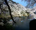千鳥ヶ淵緑道の写真_171263