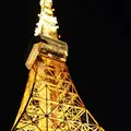 東京タワーの写真_291179
