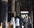 建長寺の写真_37384
