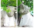 法輪寺の写真_77418