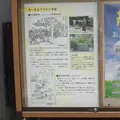 浅沢社の写真_239575