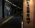 駅から300歩横丁の写真_534201