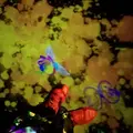 【閉業】森ビルデジタルアートミュージアム：エプソン チームラボボーダレス（MORI Building Digital Art Museum: EPSON teamLab Borderless）の写真_416599