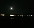 由比ガ浜海水浴場の写真_91052