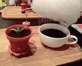 アルファ フード＆ドリンク （Alpha foods&drink）の写真_209933