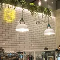 ザ カップス MEIEKI （THE CUPS） の写真_278314