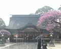 太宰府天満宮の写真_529662