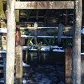 京都霊山護國神社の写真_19862