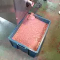 道の駅 小豆島オリーブ公園の写真_22095