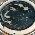 知床第一ホテルの写真_25865