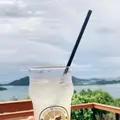 フレンチモンスターの写真_540457