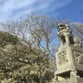 萩城跡指月公園の写真_70430