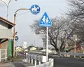 馬専用横断歩道があるの写真_130284
