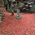 霊鑑寺の写真_158957