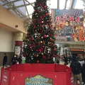 上野駅の写真_205924