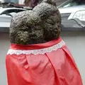 法起院の写真_76037