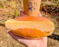 江ノ屋 善福寺珈琲の写真_1486272