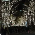 丸の内仲通りの写真_208618