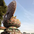 西福寺の写真_149690