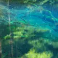 青池の写真_169780