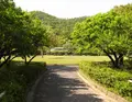 梅林公園の写真_134070