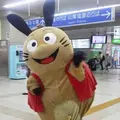 明石市の写真_1246982