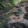扇ガ谷の写真_207354