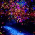 【閉業】森ビルデジタルアートミュージアム：エプソン チームラボボーダレス（MORI Building Digital Art Museum: EPSON teamLab Borderless）の写真_416297