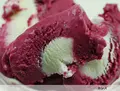 ラ・ベルデュールの写真_73669