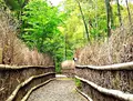 直指庵の写真_77362
