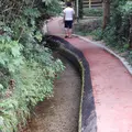別府弁天池の写真_89668
