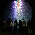 加茂水族館（バス）の写真_1575839