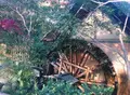 湧水の写真_16890