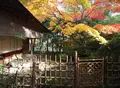 紅松庵の写真_16956