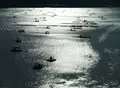 堀越海峡の写真_21259