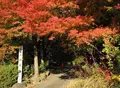 怪しげな地蔵尊があるらしいの写真_21762