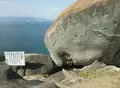 高島の写真_24025