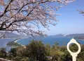 天橋立ビューランドの写真_27502