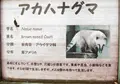 高鼻町４丁目の写真_27503