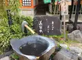 八坂神社の写真_29578