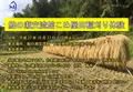 鮎の瀬交流館の写真_60226