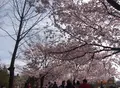 蘆花恒春園の写真_69162