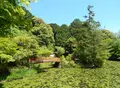 大原野神社の写真_76952