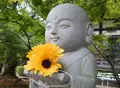 功山寺の写真_89614
